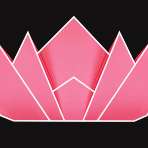 Add your origami art to The Lotus Effect at the Rubin