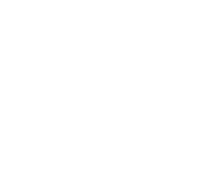 logo: Pedersen Brain Science Institute